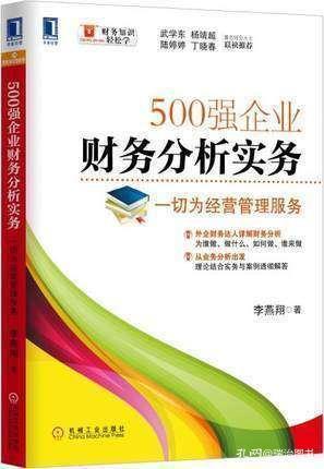 外企財務達人詳解財務分析 從業務出發，理論實務結合助力500強企業管理